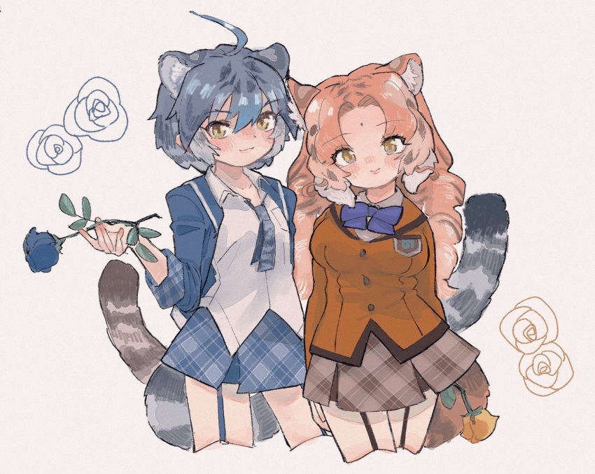 2girls animal_ears animal_print blue_flower blue_hair blue_jacket blue_neckwear blue_rose blue_skirt blush bow bowtie brown_skirt collared_shirt commentary_request cowboy_shot extra_ears eyebrows_visible_through_hair flower garter_straps golden_tabby_tiger_(kemono_friends) green_eyes highres holding holding_flower jacket kemono_friends long_hair long_sleeves looking_at_viewer maltese_tiger_(kemono_friends) multicolored_hair multiple_girls necktie open_clothes open_jacket orange_flower orange_hair orange_jacket orange_rose plaid plaid_skirt pleated_skirt rose shimazoenohibi shirt short_hair skirt tail tiger_ears tiger_girl tiger_print tiger_tail white_hair white_shirt