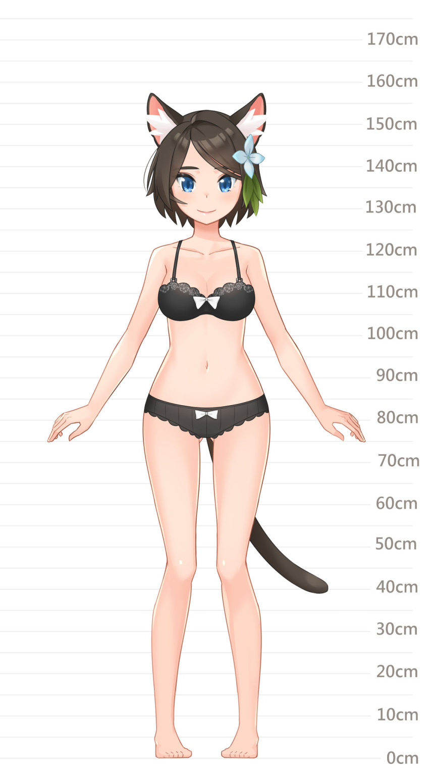 1girl aina_(mao_lian) animal_ear_fluff animal_ears arms_at_sides bare_arms bare_legs bare_shoulders barefoot blue_eyes bow bow_bra bow_panties bra breasts brown_bra brown_hair brown_panties cat_ears cat_tail closed_mouth full_body height_chart highres looking_at_viewer mao_lian_(nekokao) medium_breasts navel original panties pigeon-toed short_hair smile solo standing tail underwear underwear_only white_bow