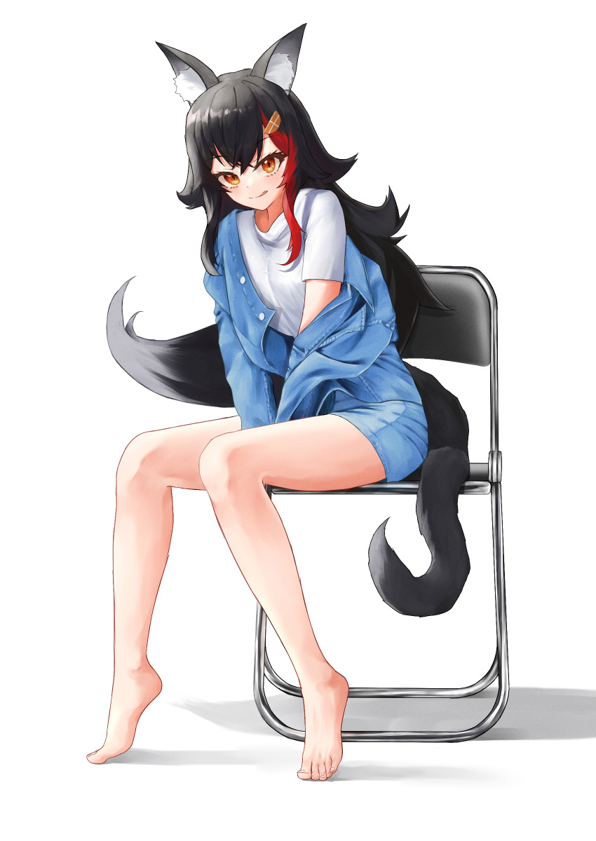 1girl absurdres alternate_costume animal_ear_fluff animal_ears bangs bare_legs barefoot between_legs black_hair blue_jacket blue_shorts blush breasts chair closed_mouth commentary crossed_bangs denim denim_jacket denim_shorts eyebrows_visible_through_hair full_body hair_between_eyes hair_flaps hair_ornament hand_between_legs highres hololive jacket licking_lips long_hair looking_at_viewer medium_breasts multicolored_hair off_shoulder ookami_mio open_clothes open_jacket orange_eyes redhead shirt short_shorts short_sleeves shorts silver_hair simple_background sitting smile solo streaked_hair tail tiptoes toes toi1et_paper tongue tongue_out virtual_youtuber white_background white_shirt wolf_ears wolf_tail