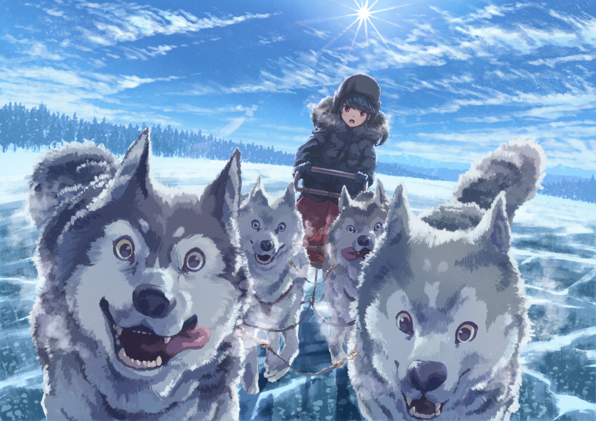 1girl absurdres bangs blue_coat blue_gloves blue_hair blue_sky breath clouds coat commentary_request day dog dog_sled forest full_body fur-trimmed_coat fur_trim gloves highres hooded_coat light_particles looking_at_viewer michinoku_(hiking_miusan18) nature open_mouth outdoors shima_rin sky sled snow solo sun violet_eyes winter_clothes yurucamp