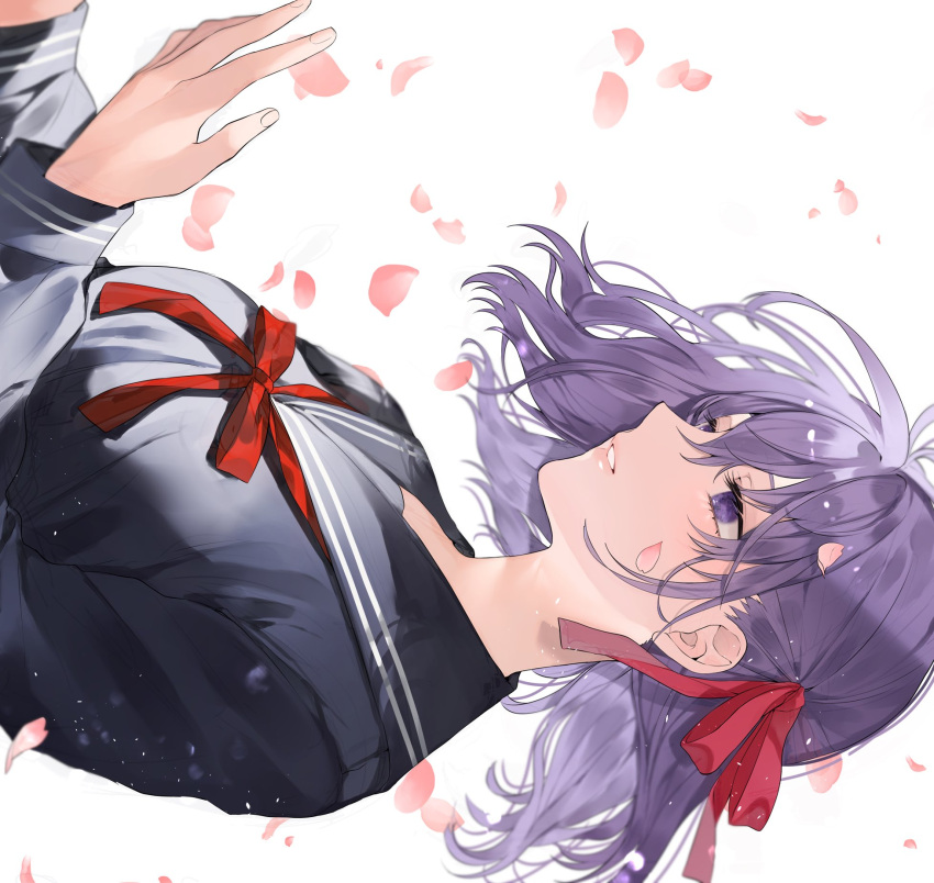 1girl bangs black_shirt breasts fate/stay_night fate_(series) floating_hair hair_ribbon highres long_hair long_sleeves matou_sakura medium_hair neck_ribbon petals purple_hair red_ribbon ribbon sailor_collar shimatori_(sanyyyy) shiny shiny_hair shirt simple_background solo symbol-only_commentary upper_body violet_eyes