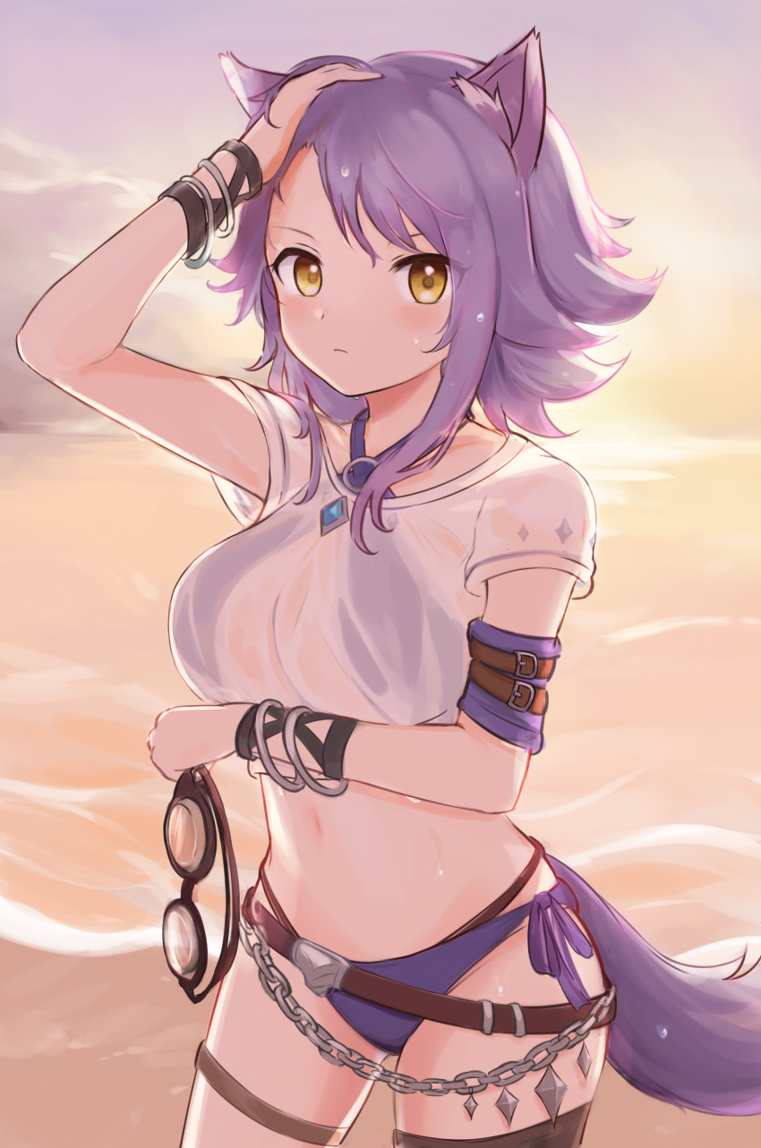 1girl absurdres animal_ear_fluff animal_ears artist_request beach bikini blush breasts criss-cross_halter dusk eyebrows_visible_through_hair goggles groin halterneck highres large_breasts looking_at_viewer makoto_(princess_connect!) midriff navel ocean princess_connect! purple_bikini purple_hair see-through shirt solo swimsuit tail water wet wet_clothes wet_hair wet_shirt wolf_ears wolf_girl wolf_tail
