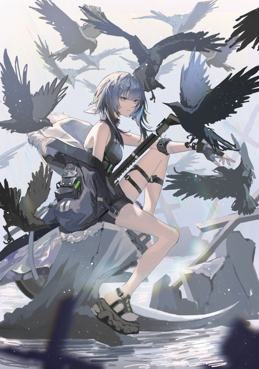1girl absurdres arknights bangs bare_shoulders bird blunt_bangs chinese_commentary closed_mouth fur-trimmed_jacket fur_trim highres infection_monitor_(arknights) jacket la_pluma_(arknights) medium_hair ruagi shorts sleeveless sleeveless_turtleneck solo thigh_strap turtleneck