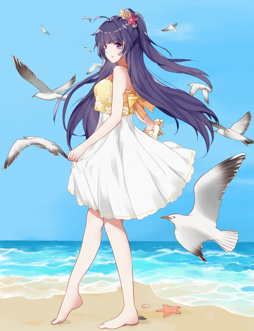 1girl absurdres antenna_hair bangs barefoot beach bird blue_sky clothes_lift clouds cloudy_sky clover_aoko dress flower full_body hair_between_eyes hair_flower hair_ornament highres holding holding_clothes holding_skirt honkai_(series) honkai_impact_3rd huge_filesize long_hair looking_at_viewer ocean ponytail purple_hair raiden_mei sand seagull skirt skirt_lift sky sleeveless sleeveless_dress solo starfish starfish_hair_ornament sundress toes violet_eyes waves white_dress