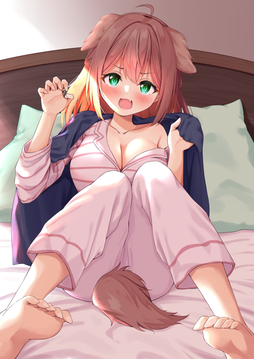 1girl ahoge animal_ears barefoot blush breasts cleavage collarbone dog_ears dog_girl dog_tail eyebrows_visible_through_hair fang female green_eyes hair_between_eyes highres original solo syurimp tail tail_between_legs