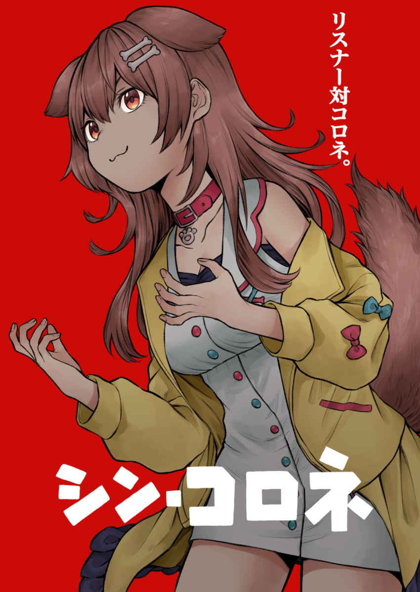 1girl :3 animal_collar animal_ears bone_hair_ornament breasts brown_eyes brown_hair collar collarbone commentary dog_ears dog_girl dog_tail dress godzilla_(series) hair_ornament highres hololive inamimi_(sheep1733) inugami_korone jacket large_breasts long_hair off_shoulder parody partially_translated red_background shin_godzilla sidelocks solo tail translation_request white_dress yellow_jacket