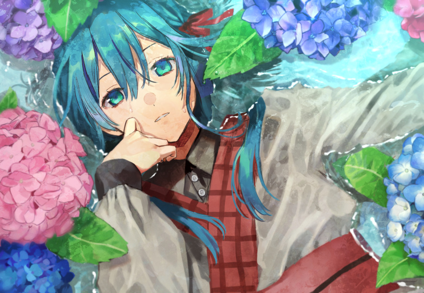 1girl blue_eyes blue_flower blue_hair character_request collared_shirt dress_shirt flower from_above grey_kimono grey_shirt hair_between_eyes hair_ribbon highres japanese_clothes kimono long_hair long_sleeves looking_at_viewer lying on_back parted_lips pink_flower pote-mm red_ribbon ribbon shiny shiny_hair shirt solo sweatdrop upper_body wing_collar