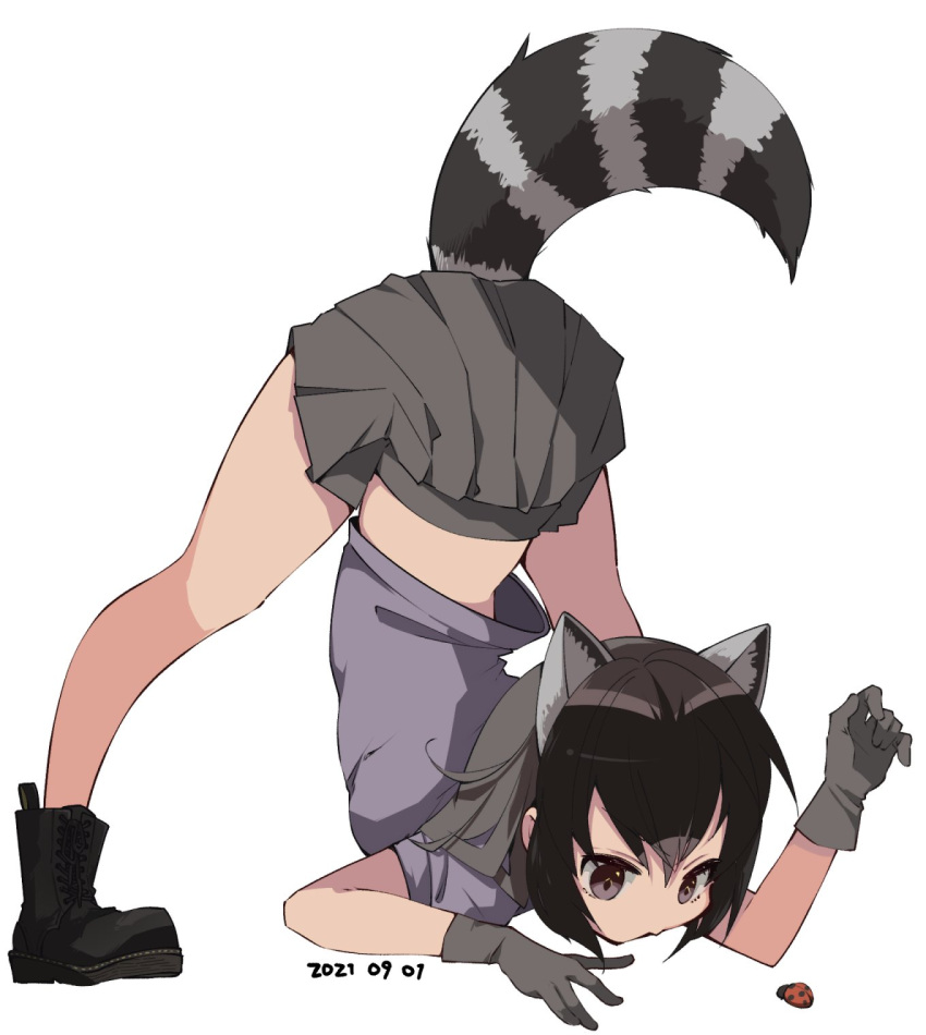 1girl adapted_costume animal animal_ears arched_back arm_rest back bangs bare_arms bare_legs black_footwear black_hair boots brown_eyes bug common_raccoon_(kemono_friends) elbow_rest extra_ears flexible full_body gloves grey_gloves grey_hair grey_skirt hand_up highres jack-o'_challenge kemono_friends ladybug looking_at_another medium_hair meme microskirt midriff_peek multicolored_hair nanana_(nanana_iz) no_bodystocking pleated_skirt purple_shirt raccoon_ears raccoon_girl raccoon_tail shirt short_sleeves sidelocks simple_background skirt solo_focus spread_legs standing stretch striped striped_tail tail top-down_bottom-up white_background