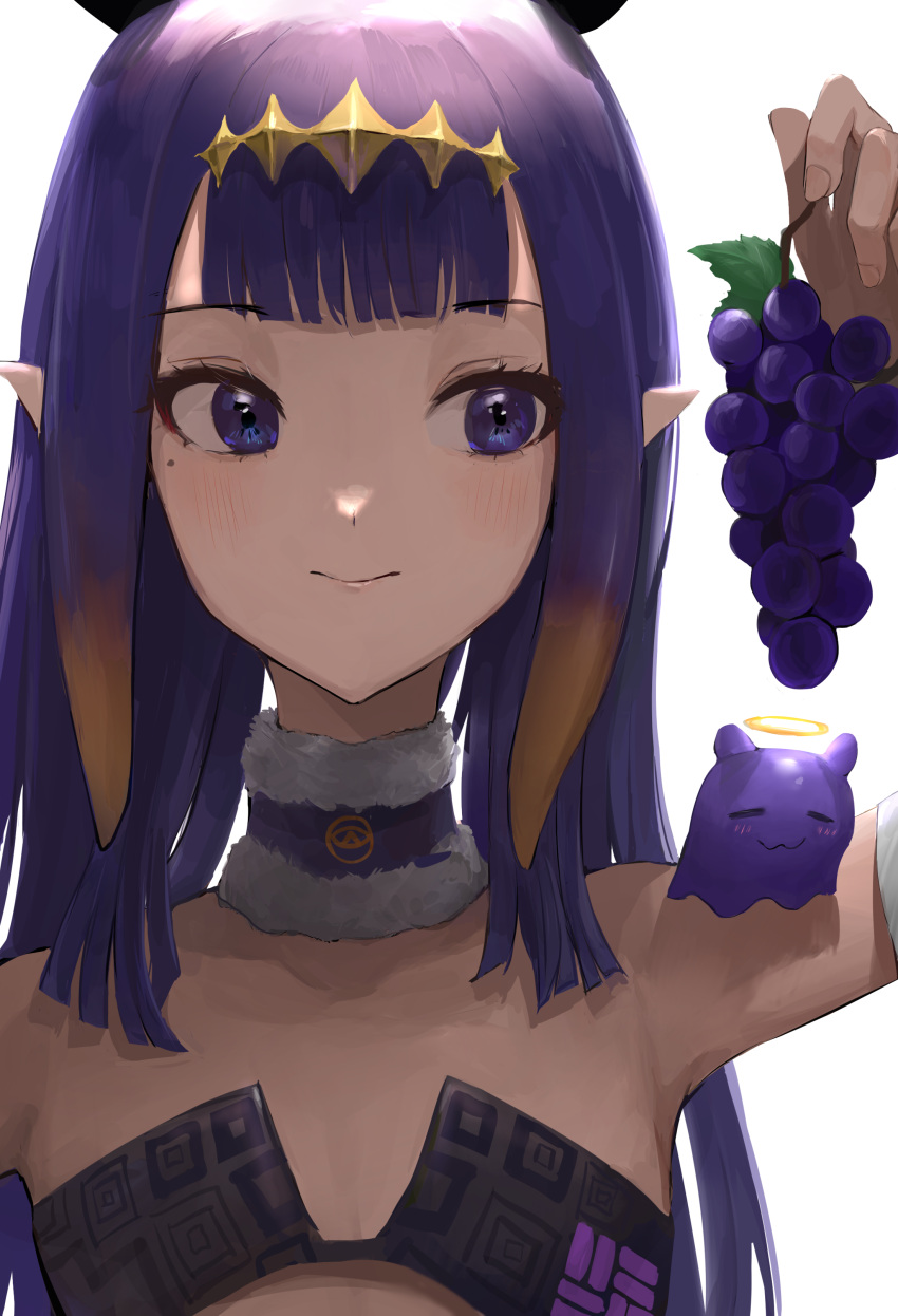 1girl absurdres black_collar blush chan1moon closed_mouth collar eyebrows_visible_through_hair flat_chest food fruit fur-trimmed_collar grapes highres holding holding_food holding_fruit hololive hololive_english long_hair looking_to_the_side ninomae_ina'nis pointy_ears purple_hair tako_(ninomae_ina'nis) tentacle_hair violet_eyes virtual_youtuber