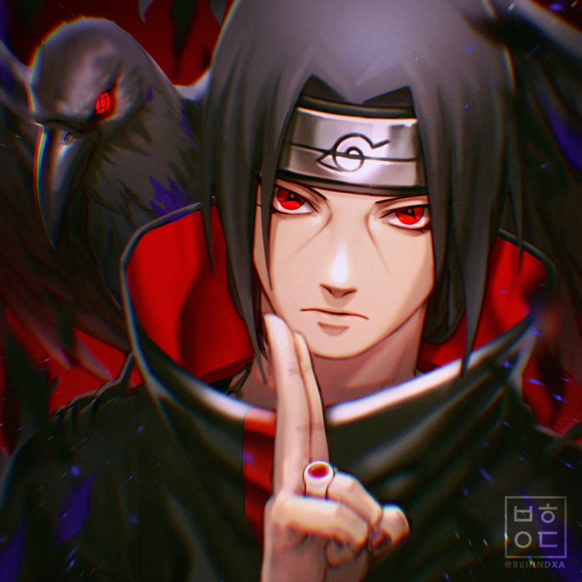 1boy akatsuki_(naruto) akatsuki_uniform artist_name behindxa bird black_hair closed_mouth coat forehead_protector high_collar highres jewelry konohagakure_symbol looking_at_viewer male_focus naruto_(series) naruto_shippuuden raven_(animal) red_eyes ring sharingan solo uchiha_itachi