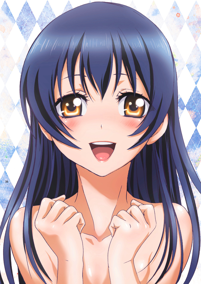 1girl :d absurdres argyle argyle_background bangs blue_hair blush brown_eyes collarbone hair_between_eyes highres long_hair looking_at_viewer love_live! love_live!_school_idol_project nanno_koto nude open_mouth page_number portrait shiny shiny_hair smile solo sonoda_umi straight_hair