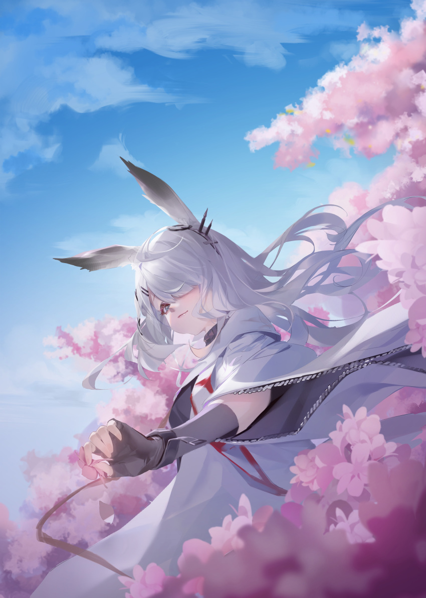 1girl absurdres animal_ears arknights black_gloves black_wristband blue_sky chinese_commentary clouds coat commentary_request fingerless_gloves flower from_below frostnova_(arknights) gloves grey_eyes hair_ornament hair_over_one_eye hairclip highres holding holding_petal lips long_hair looking_at_viewer petals pink_flower rabbit_ears sky smile solo stevendraco white_coat white_hair