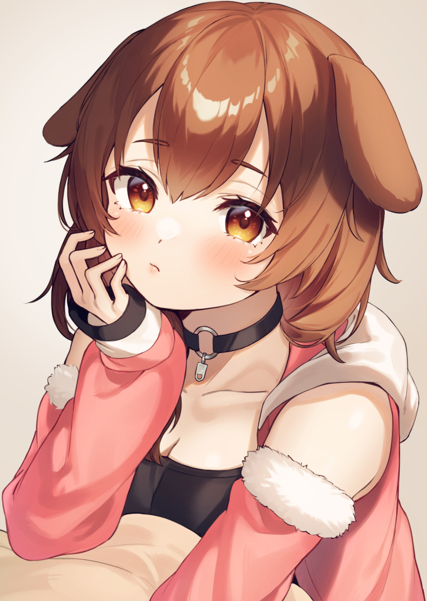 1girl animal_ears bangs black_choker black_shirt blush breasts brown_background brown_eyes brown_hair choker commentary_request detached_sleeves dog_ears dog_girl eyebrows_visible_through_hair fur-trimmed_sleeves fur_trim hand_on_own_cheek hand_on_own_face head_rest highres hiyorou hololive hood hood_down hooded_jacket inugami_korone jacket long_sleeves looking_at_viewer official_alternate_costume open_clothes open_jacket parted_lips pink_jacket shirt simple_background sleeves_past_wrists solo upper_body virtual_youtuber