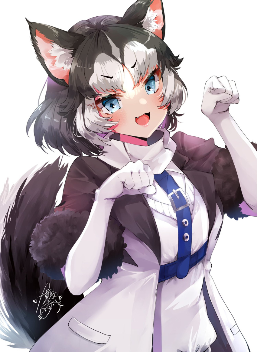 1girl :3 animal_ears black_fur black_hair black_jacket blue_eyes commentary_request cowboy_shot dog_ears dog_girl dog_tail elbow_gloves eyebrows_visible_through_hair fang fur_trim gloves harness highres jacket kemono_friends multicolored multicolored_clothes multicolored_hair multicolored_jacket open_clothes open_jacket open_mouth paw_pose scarf short_hair short_sleeves siberian_husky_(kemono_friends) solo sweater tail two-tone_hair two-tone_jacket white_gloves white_hair white_jacket white_neckwear white_sweater yuanagae