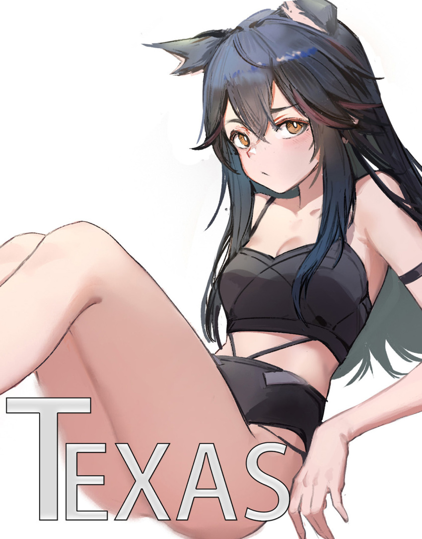 1girl animal_ears arknights arm_strap bangs bare_shoulders black_hair brown_eyes camisole crop_top feet_out_of_frame hair_between_eyes highres knees_up long_hair looking_at_viewer midriff simple_background sitting solo spaghetti_strap texas_(arknights) thighs white_background wolf_ears x_nuan