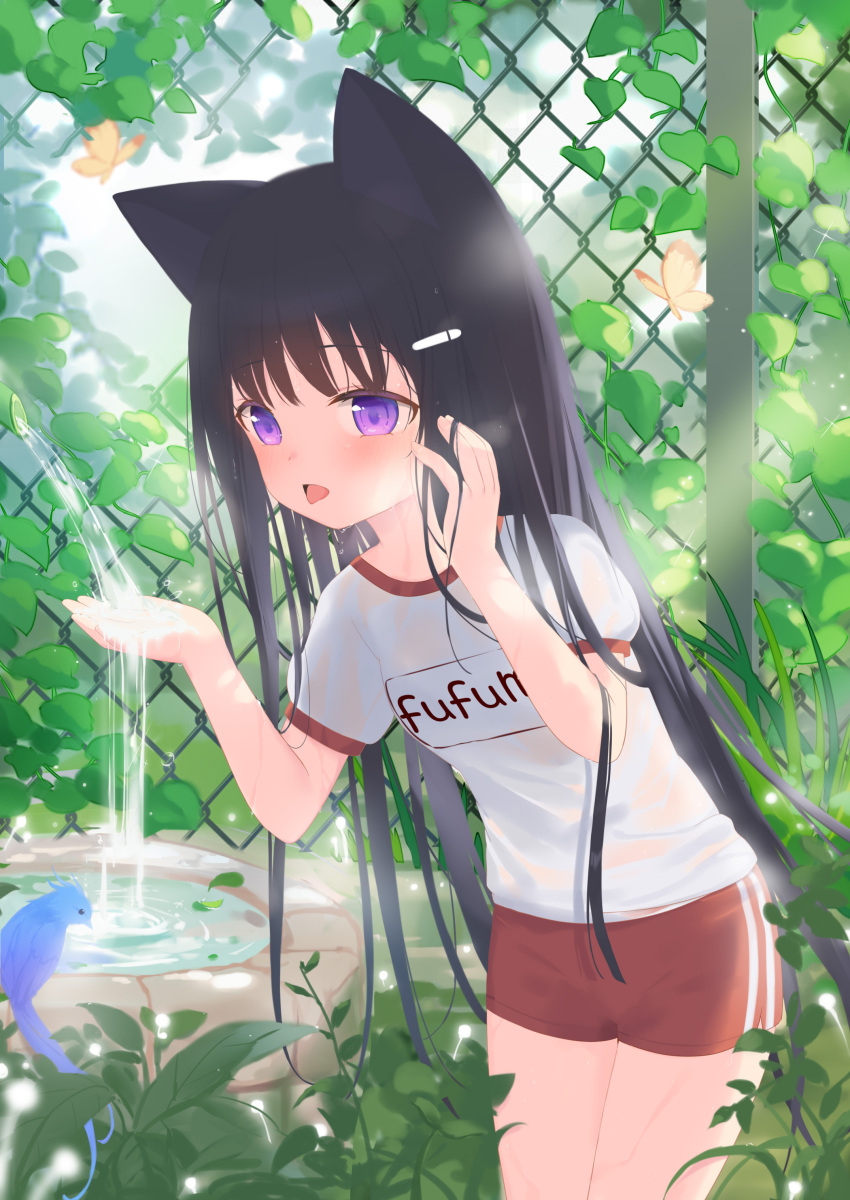 1girl absurdres animal animal_ears bangs bird black_hair blush bug butterfly cat_ears chain-link_fence commentary_request day eyebrows_visible_through_hair fence fufumi gym_shirt gym_shorts gym_uniform hair_ornament hairclip hands_up highres long_hair original outdoors parted_lips puffy_short_sleeves puffy_sleeves red_shorts shirt short_shorts short_sleeves shorts solo tongue tongue_out very_long_hair violet_eyes water white_shirt