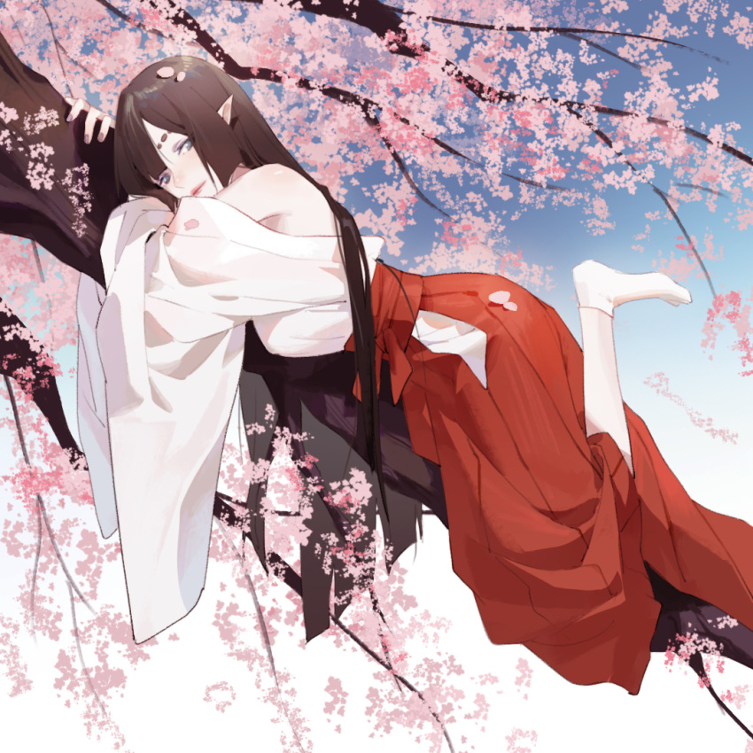 1girl bare_shoulders blue_eyes blue_sky branch brown_hair chajott64 character_request cherry_blossoms closed_mouth commentary gradient gradient_background hakama hakama_skirt japanese_clothes kimono lips long_hair looking_at_viewer lying miko on_stomach onmyoji outdoors pointy_ears red_skirt skirt sky socks solo white_background white_kimono white_legwear