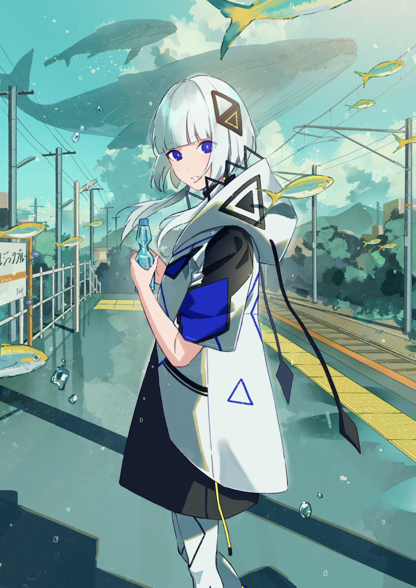 1girl bangs blue_eyes blue_sky blunt_bangs bottle cevio clouds cloudy_sky feet_out_of_frame fish highres holding holding_bottle hood hood_down kafu_(cevio) looking_at_viewer mountain parted_lips power_lines sako_(35s_00) shadow short_hair_with_long_locks sky solo surreal whale
