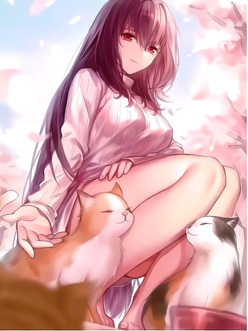 1girl absurdres animal_ears bangs bare_legs barefoot bowl breasts cat cherry_blossoms eyebrows_behind_hair eyebrows_visible_through_hair fate/grand_order fate_(series) hair_between_eyes highres long_hair looking_at_viewer purple_hair qiongsheng scathach_(fate) smile solo squatting sweater violet_eyes
