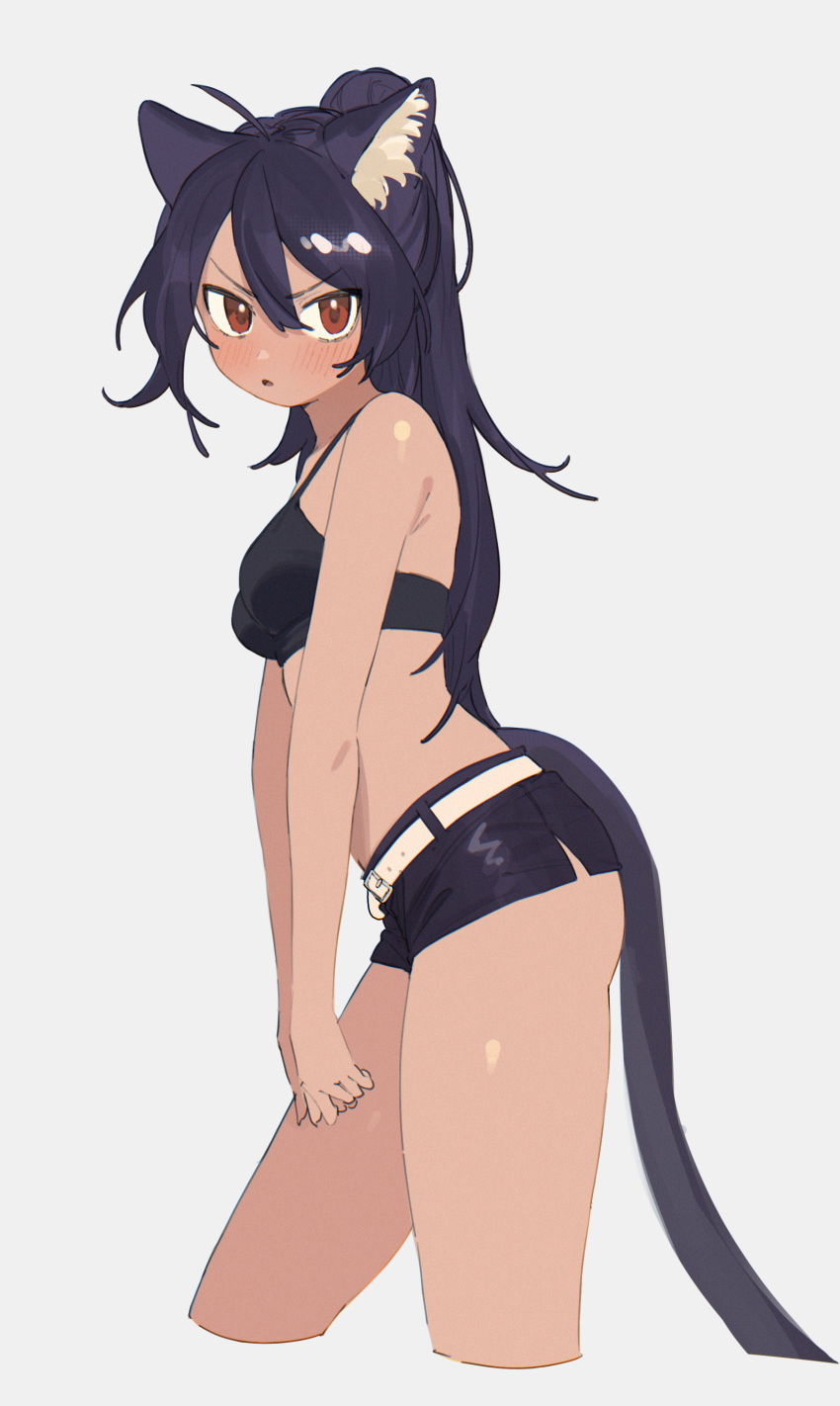 1girl absurdres animal_ear_fluff animal_ears bangs bare_arms bare_shoulders belt black_bra black_shorts blush bra breasts cat_ears cat_girl cat_tail commentary_request cropped_legs from_side grey_background highres kona_ming long_hair looking_at_viewer looking_to_the_side open_mouth original ponytail purple_hair red_eyes short_shorts shorts simple_background small_breasts solo tail thighs underwear v-shaped_eyebrows