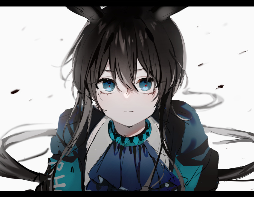 1girl amiya_(arknights) animal_ears arknights ascot bizet black_jacket blue_collar blue_eyes blue_neckwear brown_hair collar hair_between_eyes highres jacket letterboxed long_hair looking_at_viewer open_clothes open_jacket portrait rabbit_ears shirt sidelocks solo white_background white_shirt