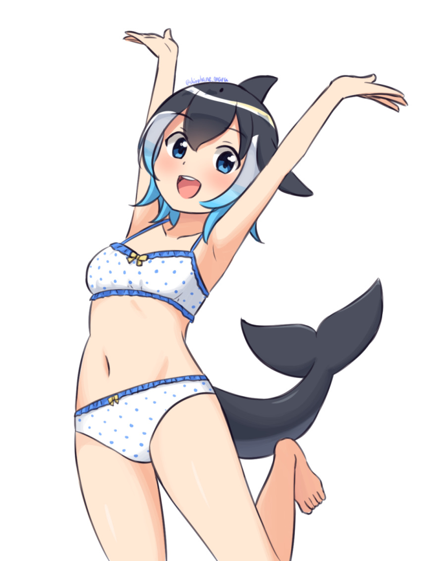 1girl :d armpits arms_up bangs barefoot blowhole blue_eyes blue_hair bra breasts collarbone commentary common_dolphin_(kemono_friends) dolphin_tail dorsal_fin hair_between_eyes highres kemono_friends looking_at_viewer multicolored_hair navel open_mouth panties polka_dot polka_dot_bra polka_dot_panties shiraha_maru short_hair simple_background small_breasts smile solo tail twitter_username underwear underwear_only upper_teeth white_background white_hair