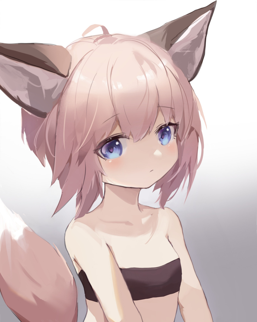 1girl absurdres animal_ears arknights bandeau bangs bare_shoulders blue_eyes blush chinese_commentary commentary_request eyebrows_visible_through_hair fox_ears fox_tail gradient gradient_background grey_background grey_hair highres looking_at_viewer partial_commentary short_hair solo strapless sussurro_(arknights) synring97 tail tube_top upper_body white_background