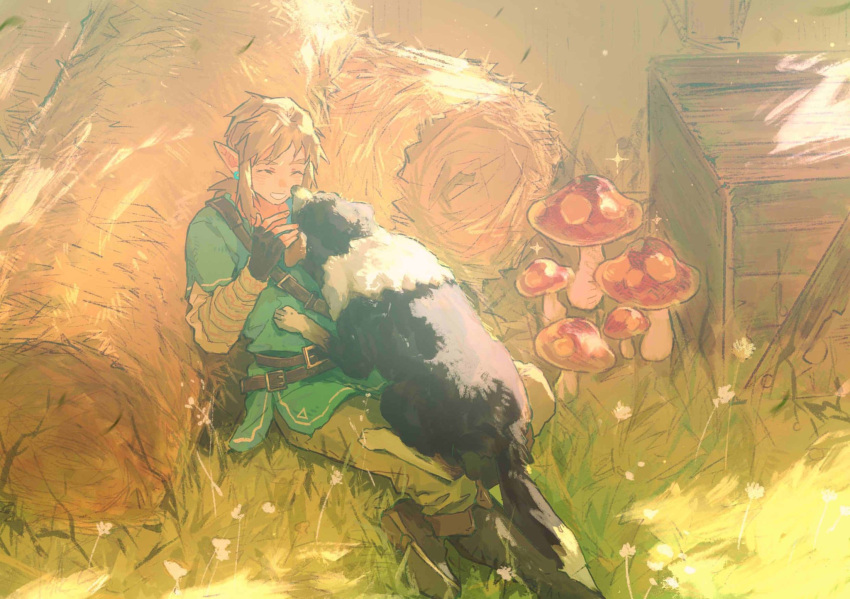 1boy animal bangs black_gloves blonde_hair blue_tunic box closed_eyes dog earrings fingerless_gloves flower gloves grass hay hay_bale highres jewelry lingcod_dayu link male_focus mushroom open_mouth pants pointy_ears ponytail sitting sparkle the_legend_of_zelda the_legend_of_zelda:_breath_of_the_wild tunic white_flower