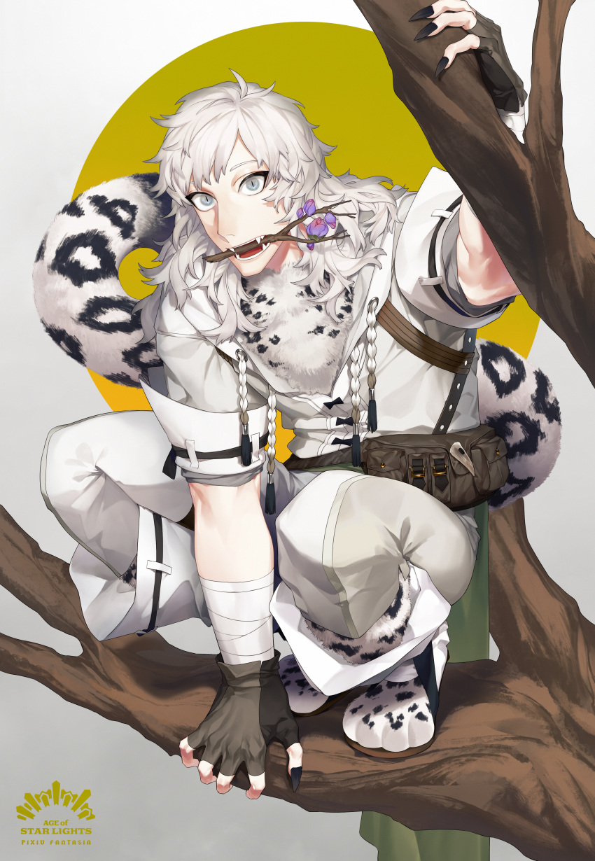 1boy absurdres animal_hands black_gloves black_nails copyright_name fangs fingerless_gloves flower gloves grey_eyes highres huge_filesize in_tree leopard_tail long_hair looking_at_viewer male_focus mouth_hold pixiv_fantasia pixiv_fantasia_age_of_starlight rekezild sandals shirakanba_miki solo tail tree white_hair