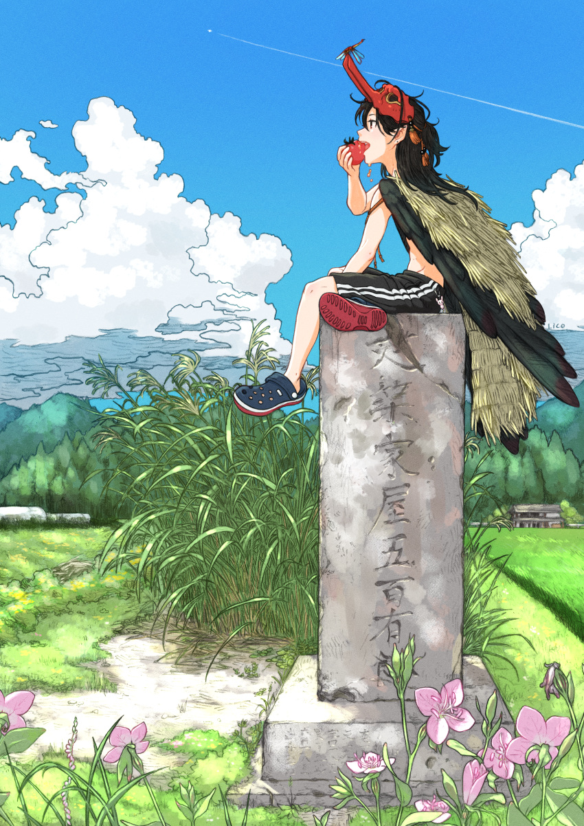 absurdres artist_name black_hair black_shorts black_wings blue_sky bug clouds crocs day dragonfly eating feathered_wings flower grass highres house huge_filesize lico_(sasya_k) mask mask_removed midriff original outdoors plant rural shoes shorts sitting sky sneakers tengu_mask tombstone wings