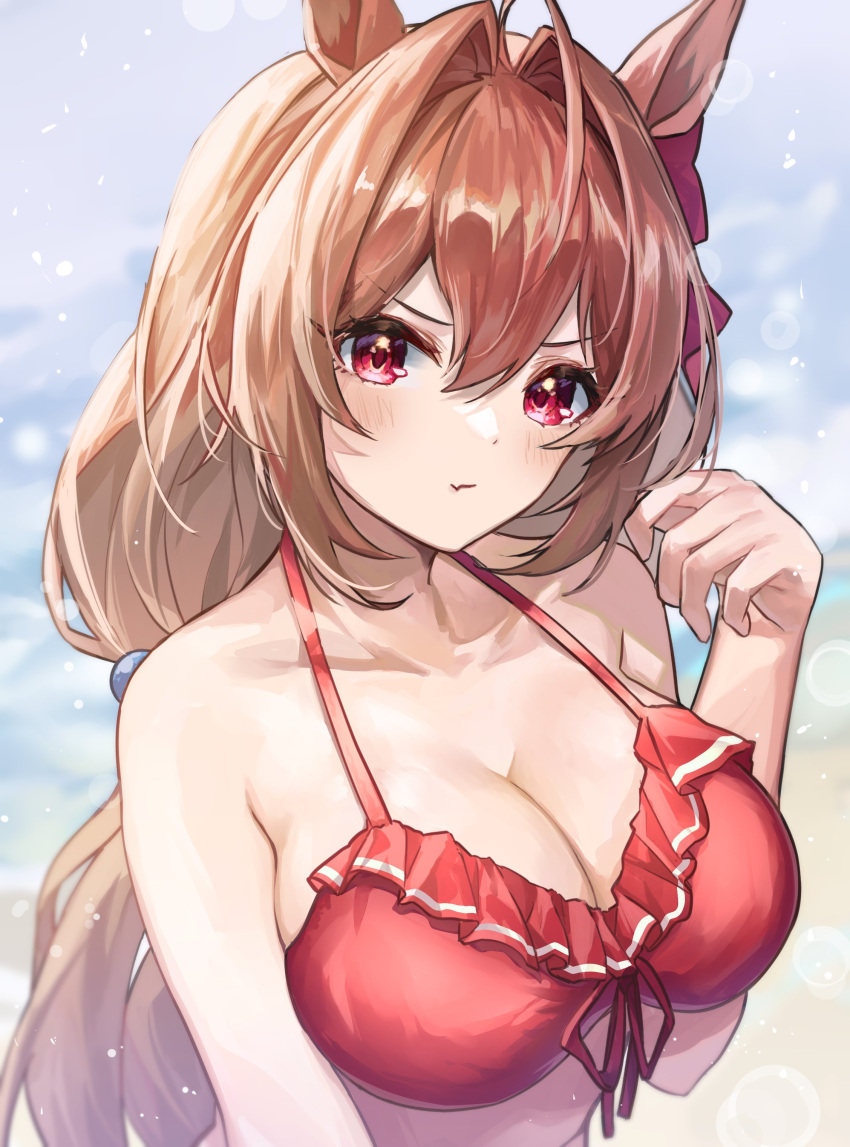 1girl absurdres animal_ears bikini blush breasts cleavage daiwa_scarlet_(umamusume) hair_between_eyes highres horse_ears horse_girl large_breasts red_bikini red_eyes shino_sto swimsuit umamusume