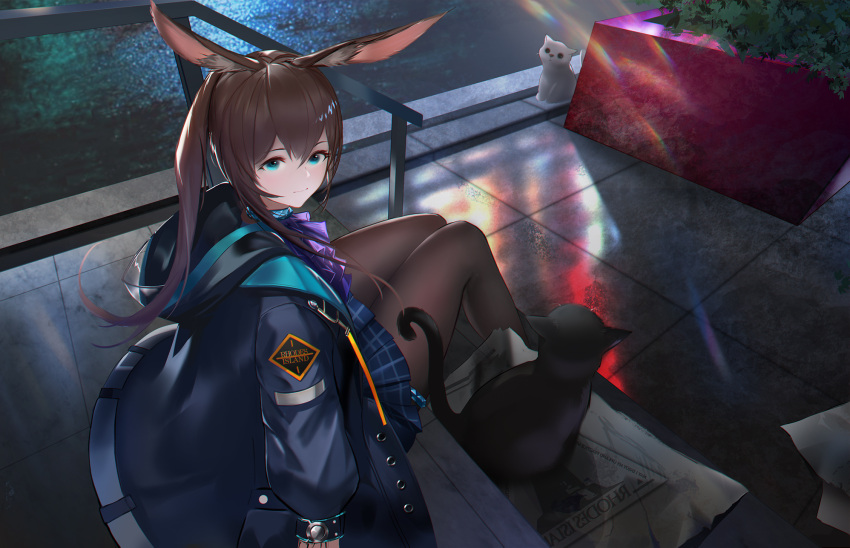 1girl amiya_(arknights) animal animal_ears arknights ascot black_cat black_legwear blue_collar blue_eyes blue_jacket blue_neckwear blue_skirt cat collar commentary hair_between_eyes highres hood hood_down jacket light_blush long_hair looking_at_viewer looking_to_the_side newspaper night open_clothes open_jacket outdoors pantyhose plaid plaid_skirt pleated_skirt ponytail rabbit_ears reflection rhodes_island_logo sherlock5230 sitting skirt solo white_cat