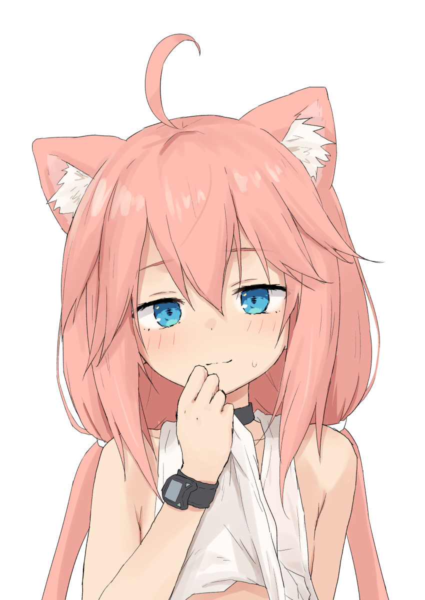 1girl absurdres ahoge animal_ear_fluff animal_ears bangs bare_shoulders black_choker blue_eyes blush cat_ears choker closed_mouth clothes_lift eyebrows_visible_through_hair hair_between_eyes highres hinata_channel long_hair looking_at_viewer low_twintails nekomiya_hinata pink_hair shirt_lift simple_background smile solo sweat tank_top twintails upper_body virtual_youtuber watch watch white_background white_tank_top yakihebi
