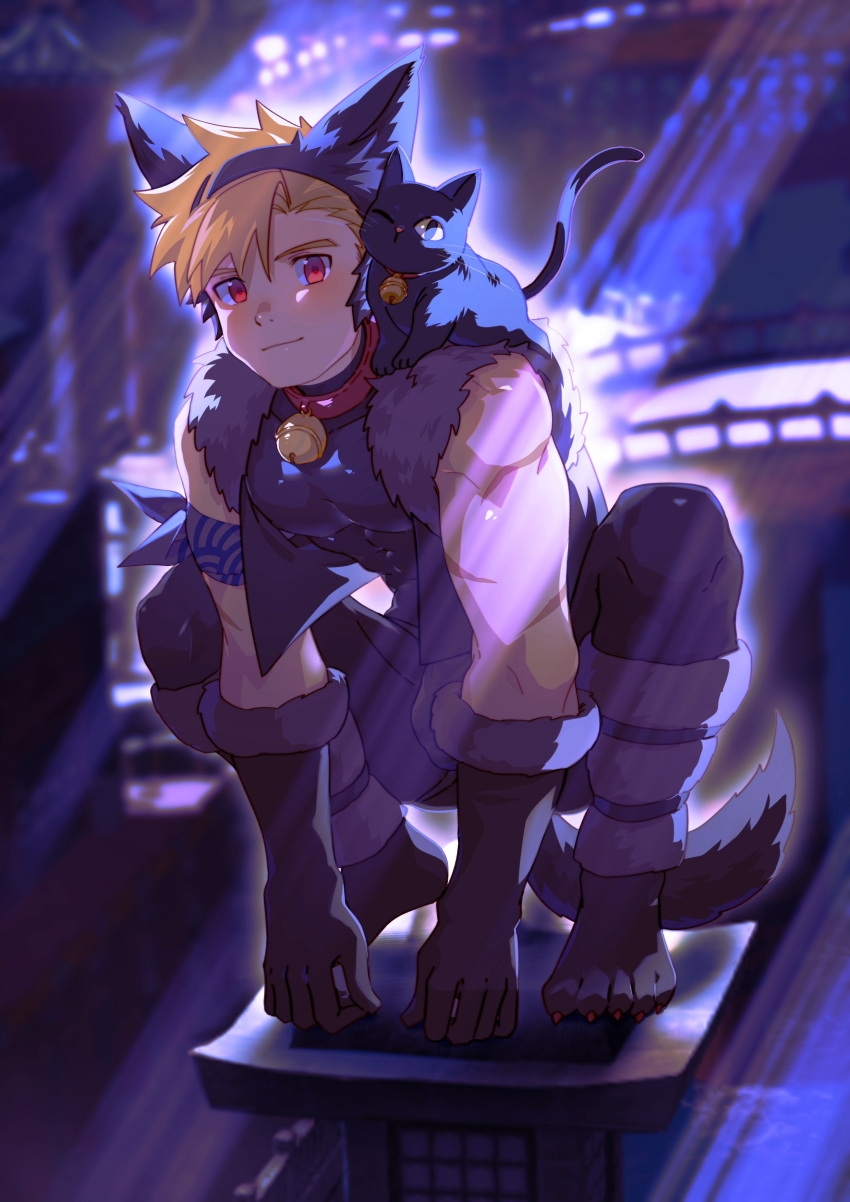 1boy abs absurdres animal_ear_fluff animal_ears animal_on_shoulder armband bangs bell black_cat black_jacket black_pants black_shirt blonde_hair blue_armband cat cat_ears cat_on_shoulder cat_tail closed_mouth collar covered_abs cropped_jacket fake_animal_ears fake_tail fur-trimmed_jacket fur_trim highres jacket jingle_bell looking_at_viewer male_focus night omedemidori original outdoors pants pectorals red_eyes shirt short_hair sleeveless sleeveless_shirt smile solo squatting tail taut_clothes taut_shirt toned toned_male