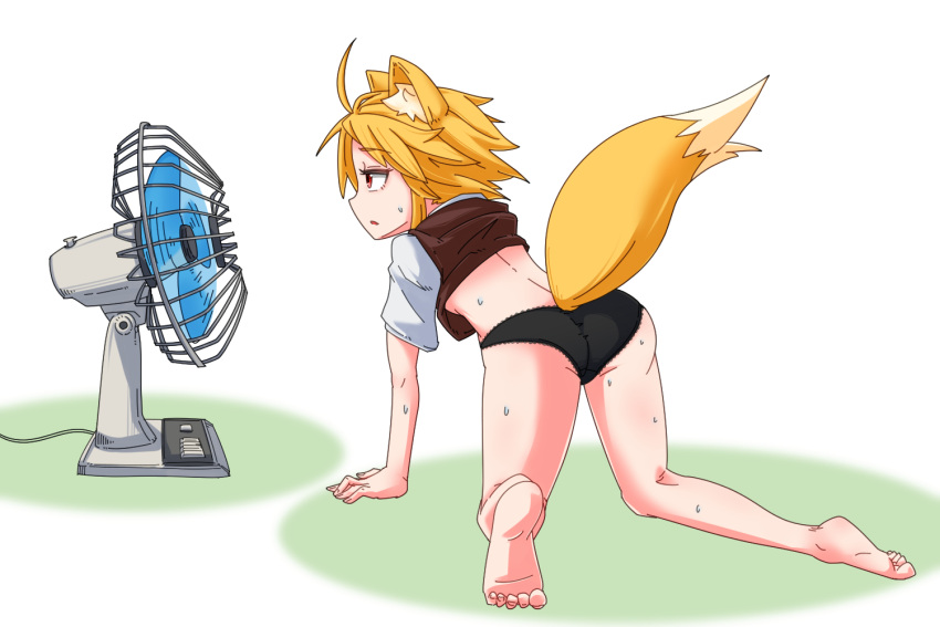 1girl ahoge all_fours animal_ear_fluff animal_ears ass asymmetrical_hair bangs barefoot black_panties blonde_hair breasts brown_eyes brown_vest clothes_lift collared_shirt commentary_request cookie_(touhou) electric_fan eyebrows_visible_through_hair feet fox_ears fox_girl fox_tail full_body hot medium_hair miramikaru_riran no_bra no_pants open_mouth panties shirt shirt_lift short_sleeves sidelocks small_breasts soles solo sweat tail underwear vest white_background white_shirt yan_pai