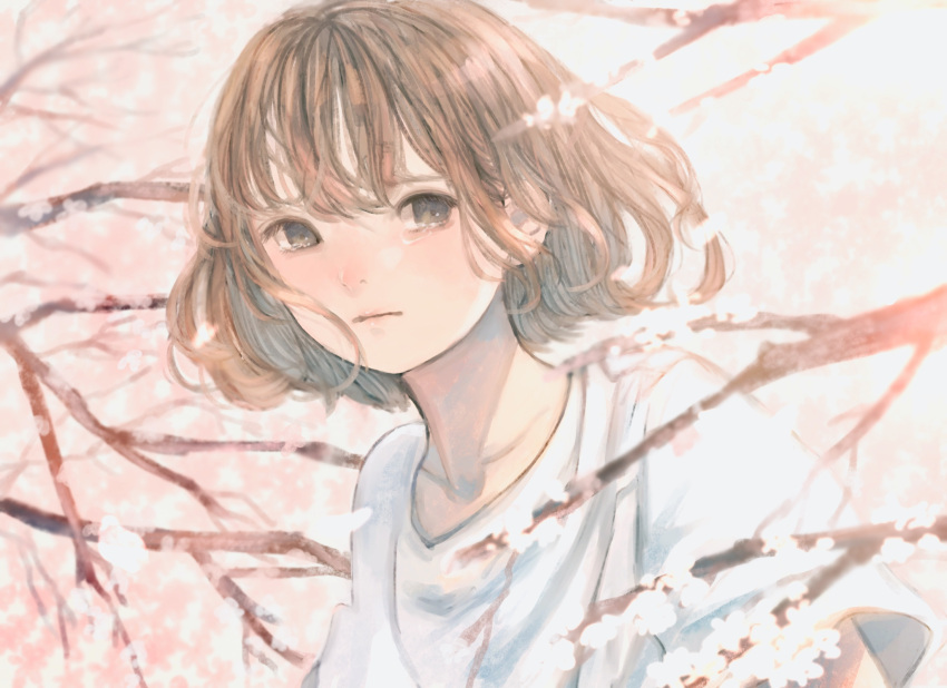 1girl bob_cut branch brown_eyes brown_hair cherry_blossoms collarbone commentary_request highres looking_at_viewer orie_h original outdoors shirt short_hair solo spring_(season) t-shirt tearing_up upper_body white_shirt