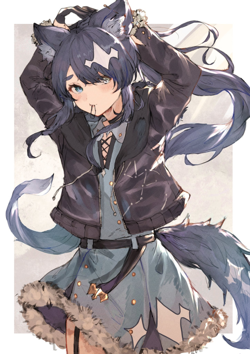 +_+ 1girl animal_ear_fluff animal_ears bangs belt black_choker black_jacket blue_eyes blue_hair blue_shirt blue_skirt blush buttons choker collared_shirt commission fur_trim hair_ornament hair_tie_in_mouth heterochromia highres jacket long_hair mouth_hold original shirt simple_background skeb_commission skirt solo tail thigh_strap tuki_zawa tying_hair white_eyes