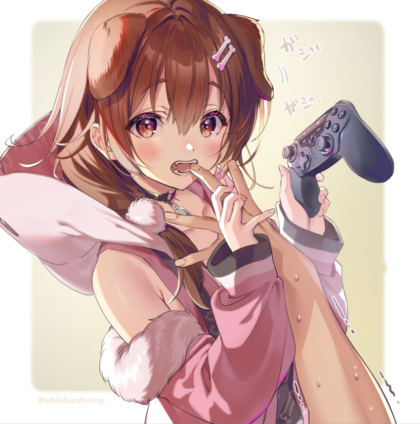 1girl animal_ears bangs biting black_choker blush bone_hair_ornament brown_eyes brown_hair choker commentary_request controller detached_sleeves dog_ears dog_girl extra_ears eyebrows_visible_through_hair finger_biting finger_to_another's_mouth game_controller hair_between_eyes hair_ornament hands_up highres holding holding_controller holding_game_controller hololive hood hood_down hooded_jacket inugami_korone jacket long_hair long_sleeves looking_at_viewer open_mouth pink_jacket pov shuri_(84k) simple_background sweat teeth translation_request twitter_username upper_body virtual_youtuber