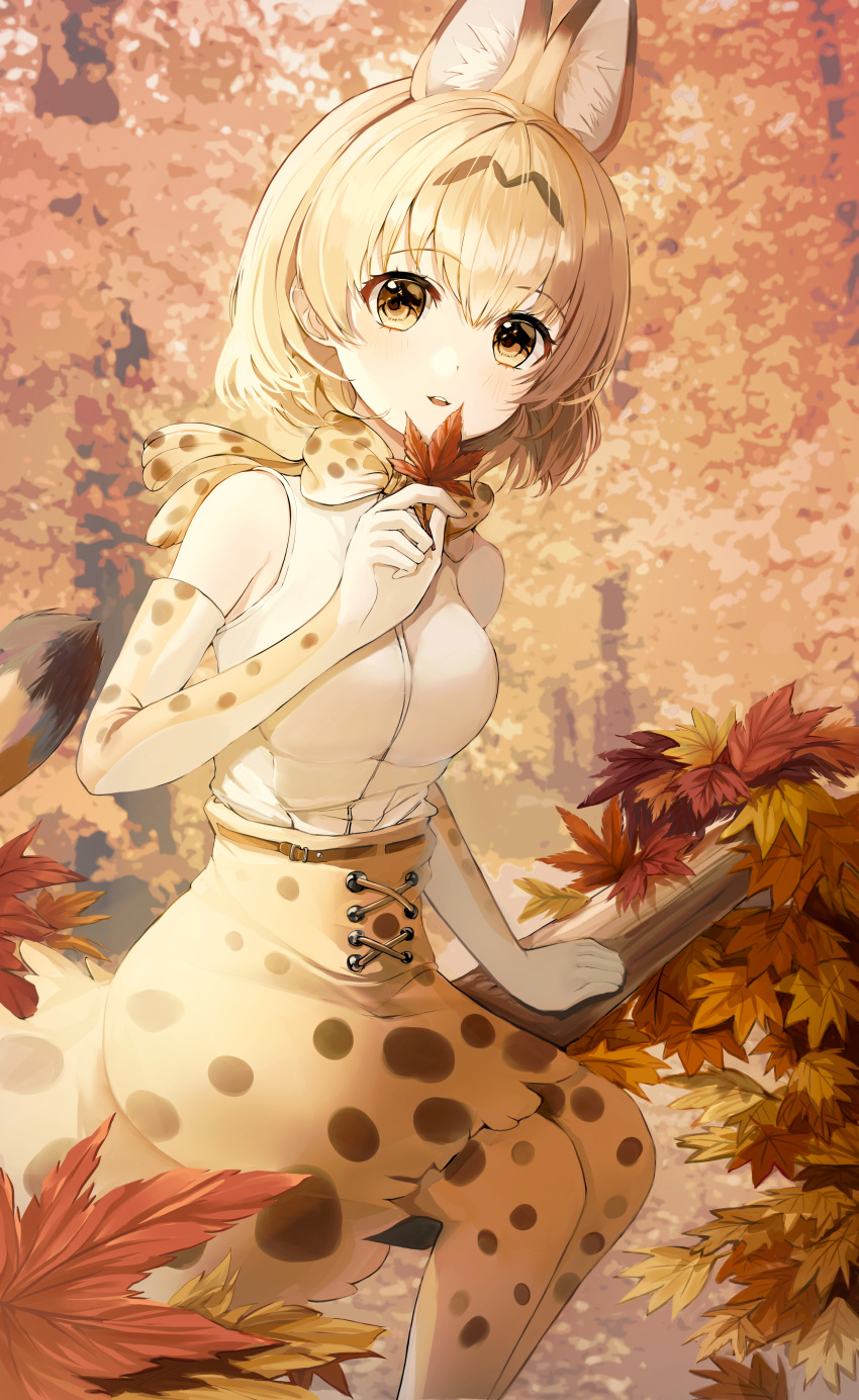 1girl absurdres animal_ears animal_print autumn autumn_leaves blonde_hair bow bowtie elbow_gloves gloves highres holding huge_filesize kemono_friends looking_at_viewer multicolored multicolored_bow multicolored_clothes multicolored_legwear open_mouth outdoors serval_(kemono_friends) serval_print shirt sitting sleeveless sleeveless_shirt spotted_skirt tail white_shirt yellow_eyes zipgaemi