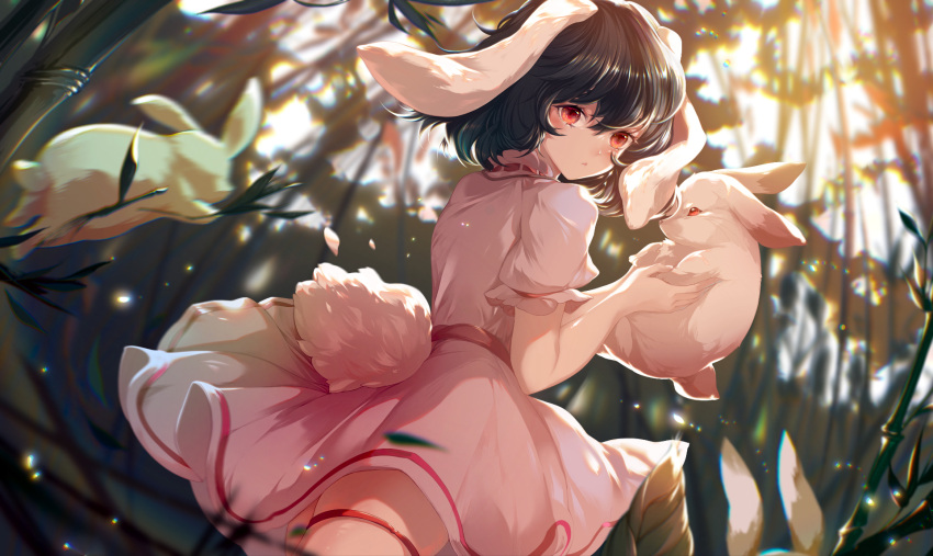 1girl animal animal_ears azusa0v0 bamboo bamboo_forest black_hair blush dress forest frilled_sleeves frills hair_between_eyes highres holding holding_animal inaba_tewi nature parted_lips pink_dress puffy_short_sleeves puffy_sleeves rabbit rabbit_ears rabbit_tail red_eyes ribbon-trimmed_clothes ribbon-trimmed_dress ribbon_trim short_hair short_sleeves solo tail touhou