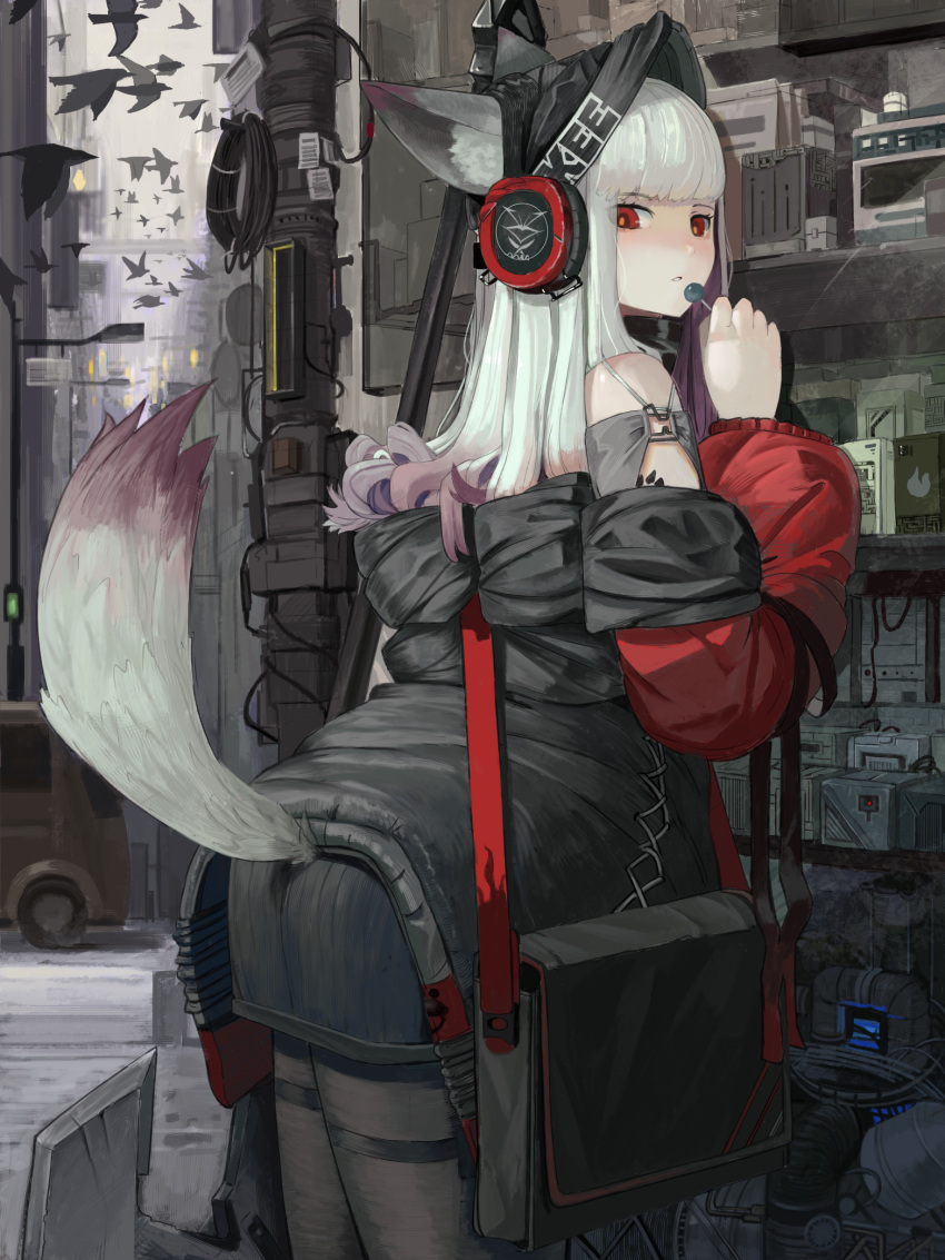 1girl alley animal animal_ear_fluff animal_ears arknights bag beanie bird black_headwear black_jacket black_legwear candy clothes_writing commentary_request cowboy_shot ears_through_headwear food fox_ears fox_girl fox_tail from_behind frostleaf_(arknights) gradient_hair grey_hair grey_shirt hat headphones highres holding holding_food implied_extra_ears jacket lollipop long_hair looking_at_viewer looking_back lwj multicolored_hair off-shoulder_shirt off_shoulder oripathy_lesion_(arknights) pantyhose red_eyes shirt shoulder_bag solo tail