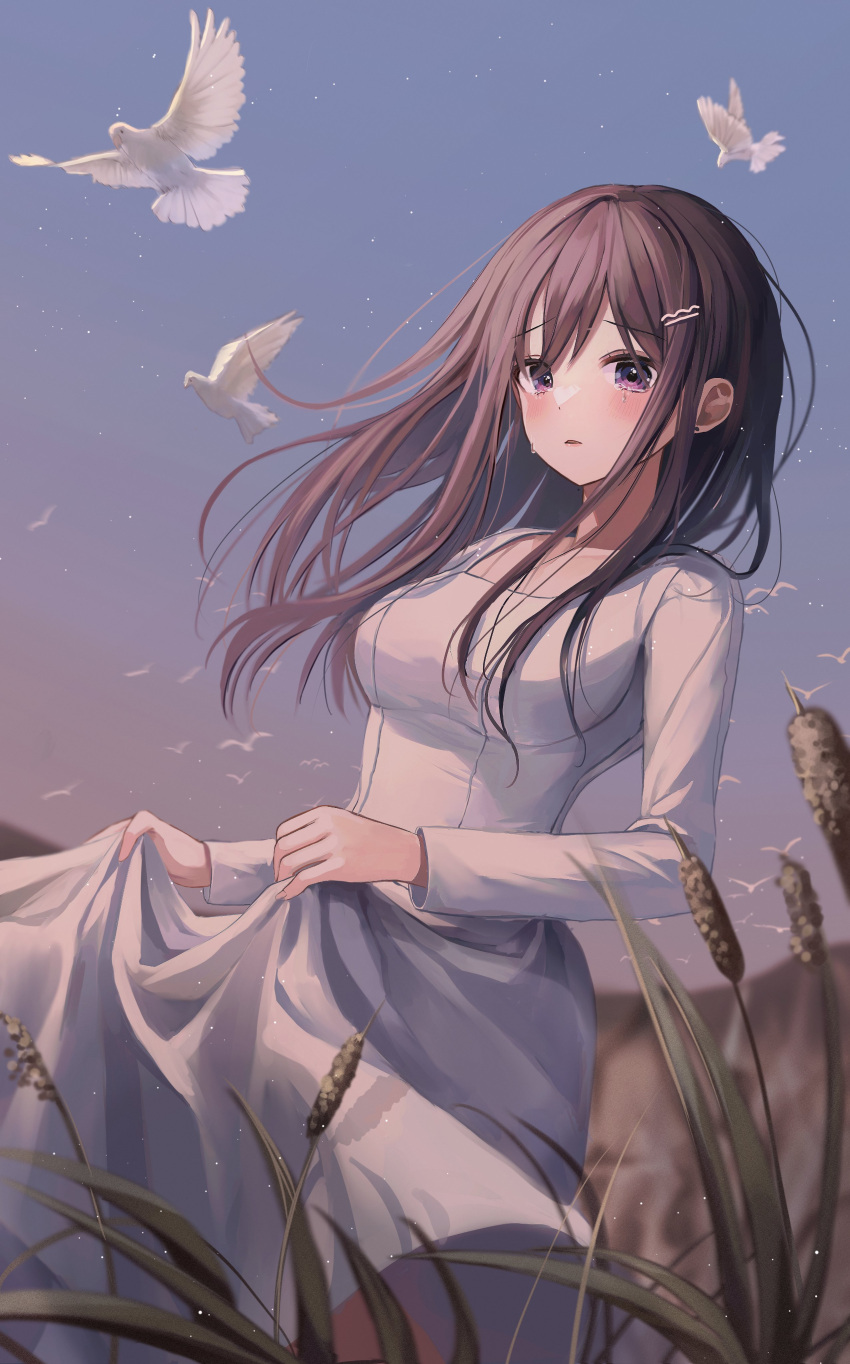 1girl absurdres bangs bird blue_sky blush brown_hair clothes_lift crying crying_with_eyes_open dove dress dress_lift grass highres long_hair long_sleeves myowa original outdoors parted_lips plant sky solo standing tears violet_eyes white_dress