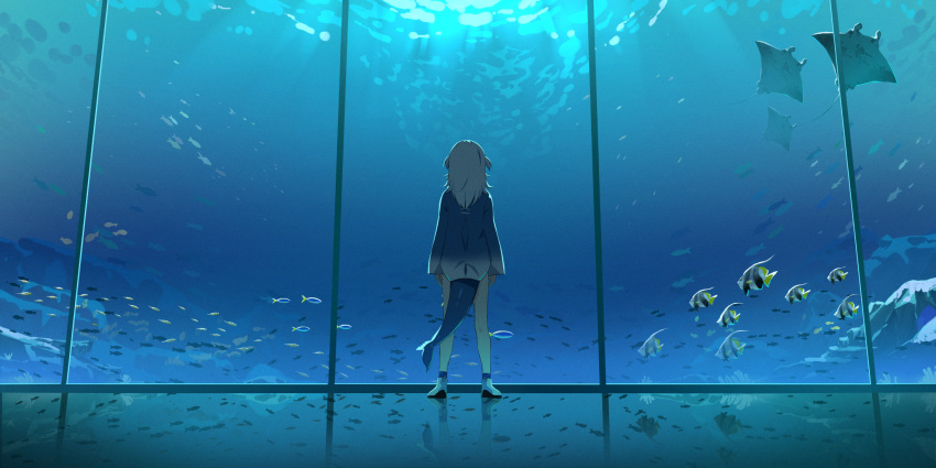 1girl aquarium back blue_hoodie commentary english_commentary fish fish_tail from_behind full_body gawr_gura highres hololive hololive_english hood hoodie kuroi_enpitsu light manta_ray medium_hair reflect_(gawr_gura) reflection reflective_floor scenery shark_tail shoes short_twintails silver_hair solo standing tail twintails two_side_up virtual_youtuber white_footwear