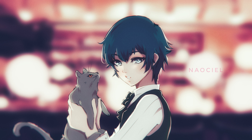 1girl absurdres animal bangs black_bow black_hair black_neckwear black_vest blurry blurry_background bow bowtie cat grey_eyes hair_between_eyes highres holding holding_animal holding_cat long_sleeves naociel parted_lips persona persona_4 shirogane_naoto shirt short_hair solo vest white_shirt