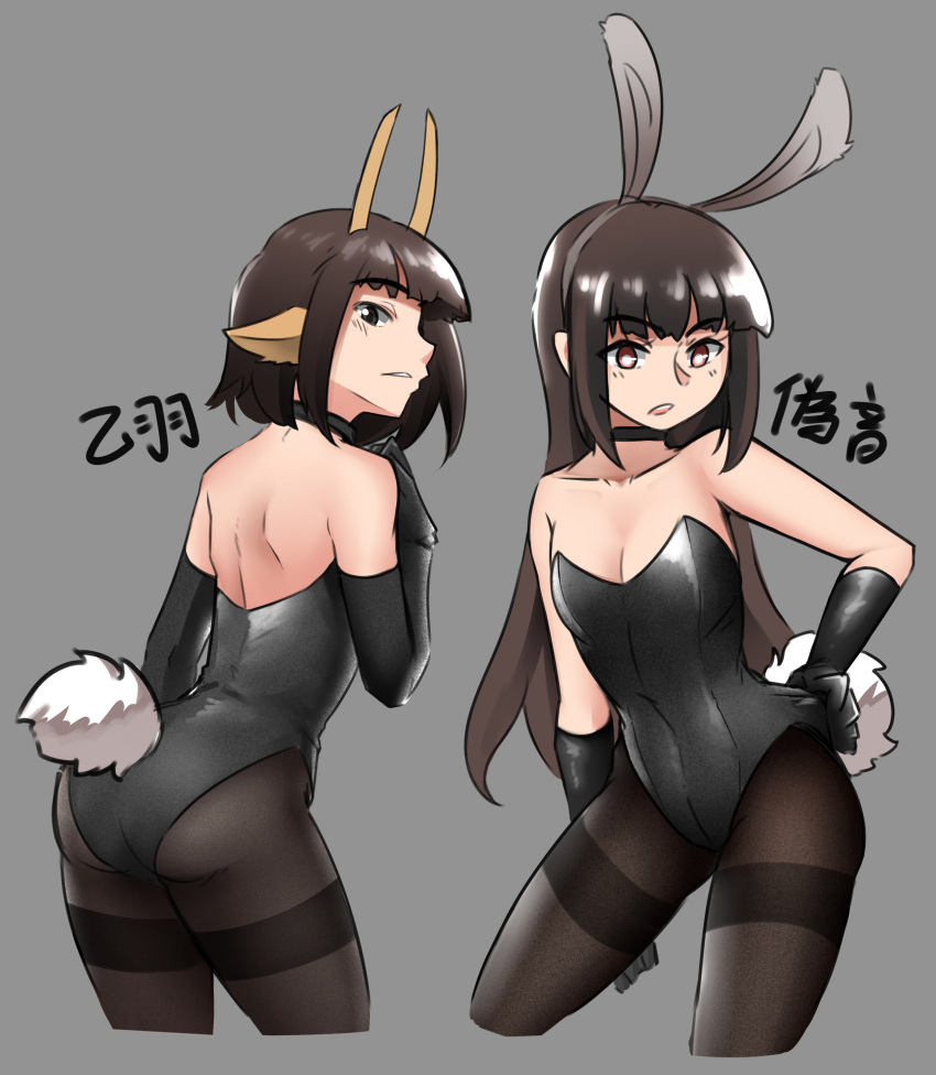 2girls absurdres animal_ears ass black_choker black_gloves black_leotard breasts brown_hair brown_legwear choker contrapposto gloves hairband highres horns leotard long_hair looking_at_viewer medium_hair multiple_girls niseoto original pantyhose parted_lips rabbit_ears rabbit_tail red_eyes small_breasts strapless strapless_leotard tail thighband_pantyhose