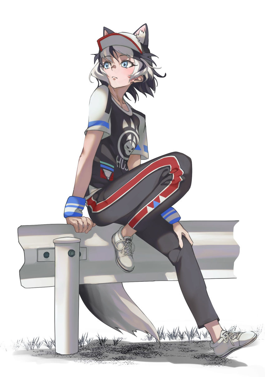 1girl animal_ears baseball_cap black_hair black_pants black_shirt blue_eyes blue_shirt commentary_request dog_ears dog_girl dog_tail extra_ears eyebrows_visible_through_hair full_body hat highres kemono_friends kemono_friends_3 multicolored_hair multicolored_shirt official_alternate_costume pants red_pants shirt shoes short_hair short_sleeves siberian_husky_(kemono_friends) sneakers solo t-shirt tail tanabe_(fueisei) track_pants track_suit two-tone_hair two-tone_pants white_footwear white_hair white_shirt wristband