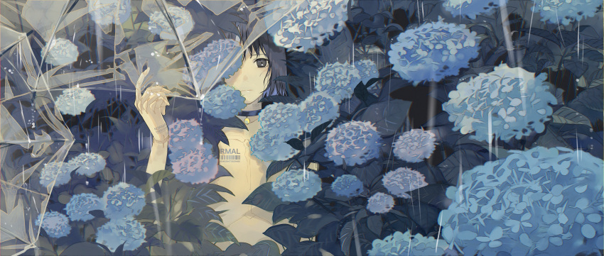 1girl android bangs blue_hair choker closed_mouth commentary_request flower hand_up highres hydrangea index_finger_raised joints kurohal leaf looking_at_viewer nude one_eye_covered original plant rain robot_joints short_hair solo transparent transparent_umbrella umbrella upper_body wide_shot