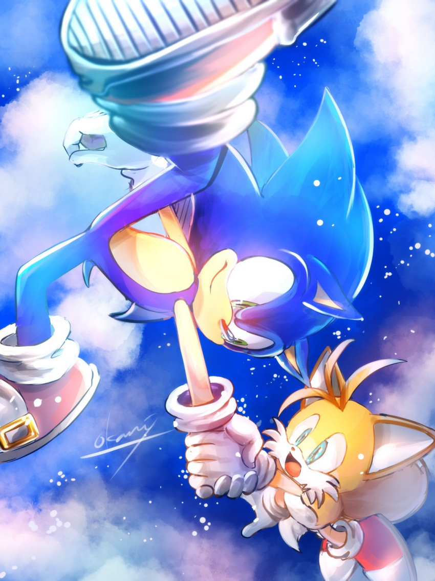 2boys blue_eyes clouds fox_boy furry furry_male gloves green_eyes highres holding_hands male_focus multiple_boys open_mouth shoes sky sneakers sonic_(series) sonic_the_hedgehog star_(sky) starry_sky tails_(sonic) tondamanuke white_gloves
