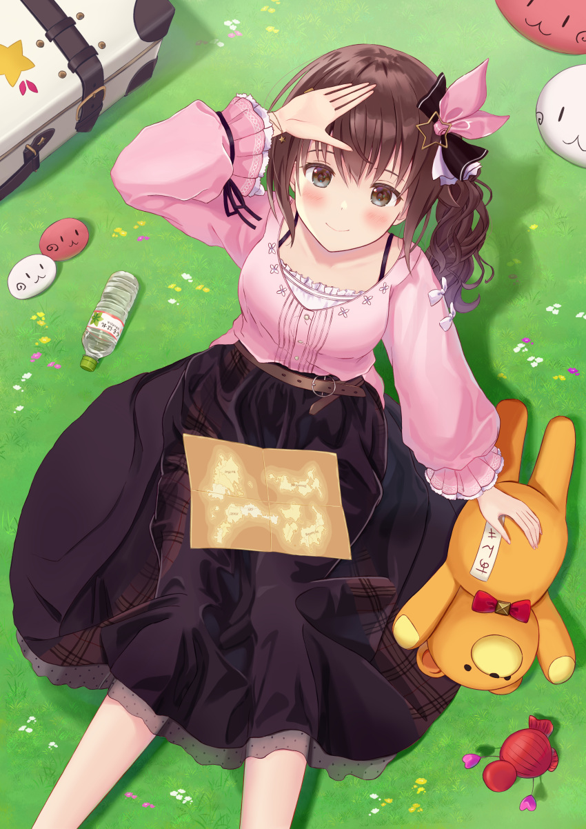 1girl absurdres ankimo_(tokino_sora) belt blouse blush breasts brown_eyes brown_hair brown_skirt camisole closed_mouth feet_out_of_frame frilled_camisole grass hair_ornament hair_ribbon highres hololive long_hair long_skirt long_sleeves looking_at_viewer medium_breasts nun_nun_(tokino_sora) pink_blouse pink_ribbon pleio ribbon shading_eyes side_ponytail sitting skirt smile solo star_(symbol) star_hair_ornament stuffed_animal stuffed_toy teddy_bear tokino_sora virtual_youtuber wavy_hair white_camisole