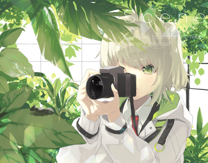 1girl arknights bangs camera closed_mouth green_eyes highres holding holding_camera hood hood_down hooded_jacket infection_monitor_(arknights) jacket necktie platinum_blonde_hair sakuwa scene_(arknights) short_hair side_ponytail solo white_jacket